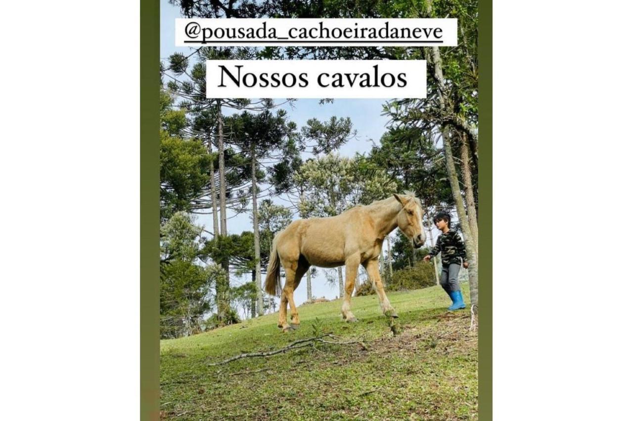 Floresta Secreta- Pousada Cachoeira Da Neve Урубиси Екстериор снимка